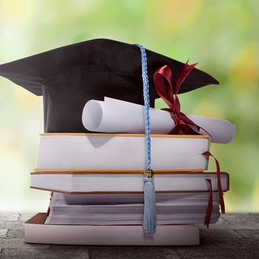 Quase metade dos candidatos a vereador tem curso superior completo em SMO