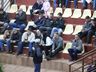Leilão no Extremo Oeste vende 40 touros e destaca avanço da genética bovina