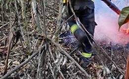 Área de mata atingida por incêndio volta a pegar fogo