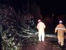 Fortes ventos e chuva causam transtornos no interior de Campo Erê