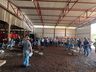 Epagri realiza Dia de Campo para apresentação da cultura de inverno