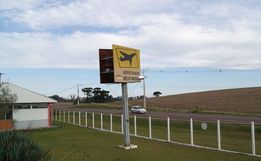 São Miguel vai licitar primeira parte das obras do aeroporto neste ano 