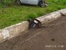 Mulher morre em colisão frontal contra caminhão na BR-282 em Paraíso