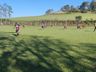 Flamengo vence e assume liderança do municipal de campo em Cedro