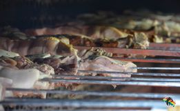 Mais de 830KG de carne são comercializados na tradicional festa do padroeiro