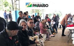 Mutirão de castração em Paraíso atende mais de 120 animais 