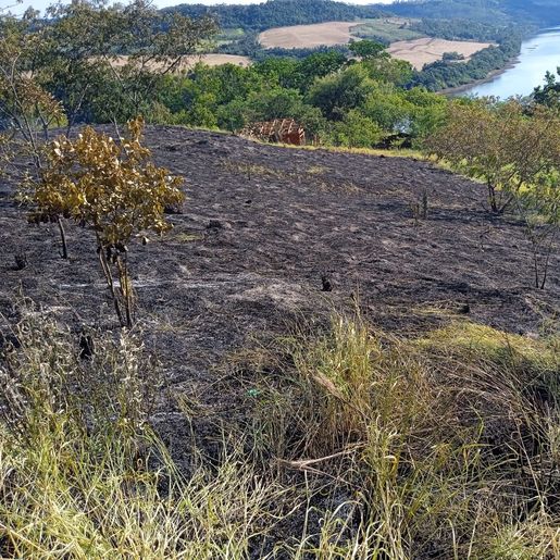 VÍDEO: Incêndio em vegetação mobiliza bombeiros de Itapiranga