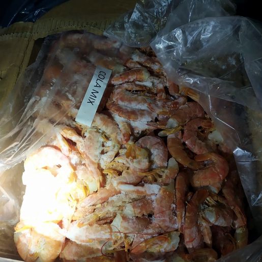 PRF apreende camarões e vinhos  contrabandeados da Argentina na BR-282