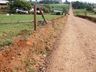 Vídeo:Dois bovinos morrem eletrocutados após caminhão derrubar poste no interior de Iporã do Oeste