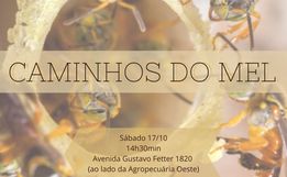 Iniciativa popular pretende incentivar criação de abelhas sem ferrão em espaços de Iporã do Oeste