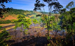 Incêndio atinge área de 100 mil metros quadrados