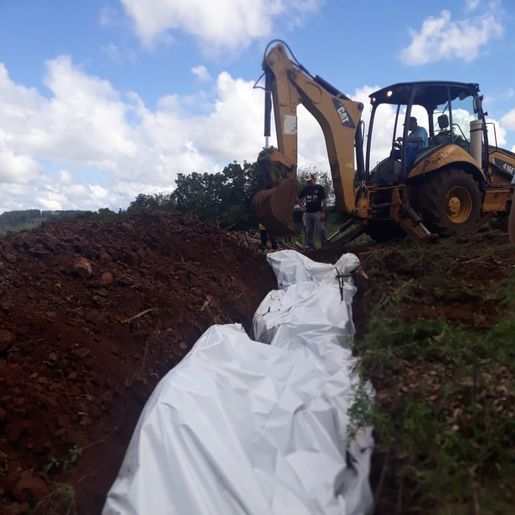 Município auxilia na recolha e descarte adequado de animais mortos em tombamento de caminhão