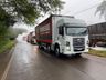 Desfile do Colono e Motorista reúne centenas de veículos em SMOeste
