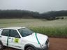 Fotos: Extensionista registra momento que abelha coleta pólen e néctar de plantação em Descanso