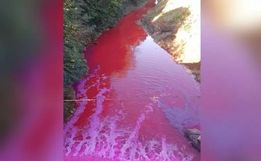 Vazamento de produto químico deixa rio vermelho em Criciúma