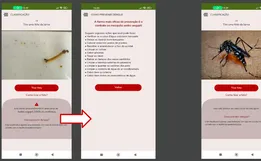 Estudante cria app que identifica larva do mosquito da dengue