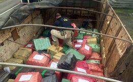 Ação conjunta PRF e PF faz a maior apreensão de maconha do ano em SC