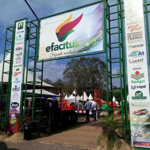 Comissão define ações para realização da Efacitus 2022
