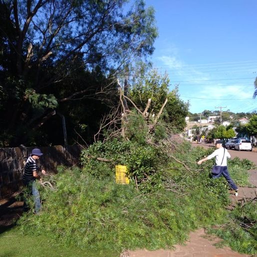 Setor de Urbanismo realizou mais uma etapa de limpeza na cidade