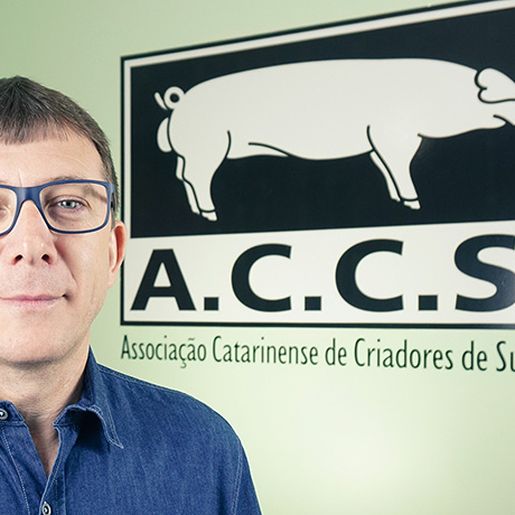 ACCS defende rigor na lei de integração da suinocultura
