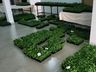 CAESP/APAE Caminho de Luz realiza feira de flores de inverno