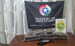 Dupla é presa com mais de 4 kg de skunk após perseguição em Dionísio Cerqueira