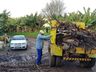 Em fiscalização dos agentes da dengue mais um foco é encontrado em SJCedro