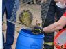 VÍDEO: Bombeiros resgatam animal silvestre em São Miguel do Oeste 