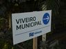 Viveiro de Guaraciaba recebe encomenda de mil e duzentas mudas de plantas