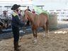 Cavalos crioulos de Itapiranga são avaliados na 11ª Efrait