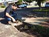 Secretaria de Saúde irá dedetizar bocas de lobo em SMOeste 