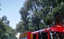 Bombeiros removem árvores que interditavam BR-282 em Iraceminha