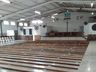 CTG de Iporã do Oeste programa evento de inauguração da nova pista de dança