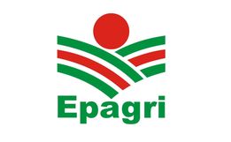 Epagri promove evento online sobre conservação do solo
