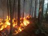 VÍDEO: Aumento de incêndios deixa capacidade de atendimento dos bombeiros no limite 