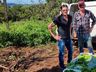 Ex-empresário do ramo frigorífico desempenha atividades com a produção de hortaliças