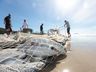 Secretaria da Aquicultura e Pesca busca maneiras de fortalecer atividade no Extremo Oeste