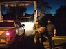 Polícia Ambiental realiza doação dos 66 kg de pinhão apreendido