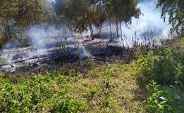 Incêndio queima 3500m² de mata em Campo Erê