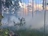 Número de incêndios em vegetação sobe mais de 250% no estado