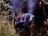 Criminosos colidem durante fuga e causam morte na BR-282