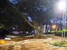 Praça da Igreja Matriz recebe investimento de R$ 15 mil em lâmpadas de LED