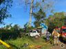 Homem morre em acidente na SC-163, em Itapiranga