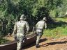 Operação contra caça na região de fronteira marca 30 anos da Polícia Militar Ambiental
