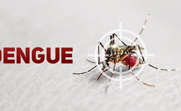 Demora do diagnóstico da dengue atrasa ações preventivas