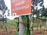Aluno egresso da Casa Familiar Rural tem projeto aprovado em Feira Nacional e avança de etapa