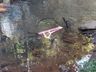 PM recupera bicicleta antes da vítima saber do furto em São Miguel do Oeste