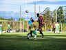 Guarani vence Aliança de Paraíso neste domingo; assista a live