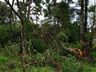 Vídeo: Comunidade se mobiliza para limpeza de estragos causados pelo temporal em Belmonte