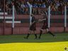 Pelo Campeonato Regional, Guarani vence Grêmio União por 3 a 1